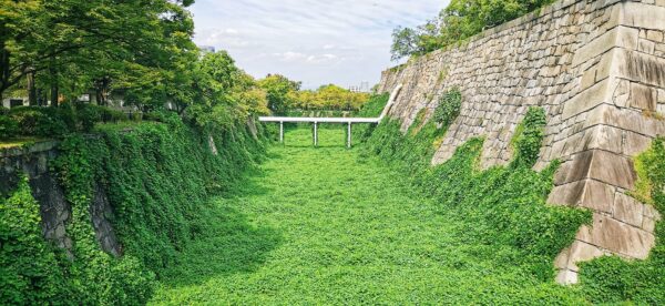 Les douves d'un temple recouvertes de végétation offrant un spectacle assez exceptionnel.